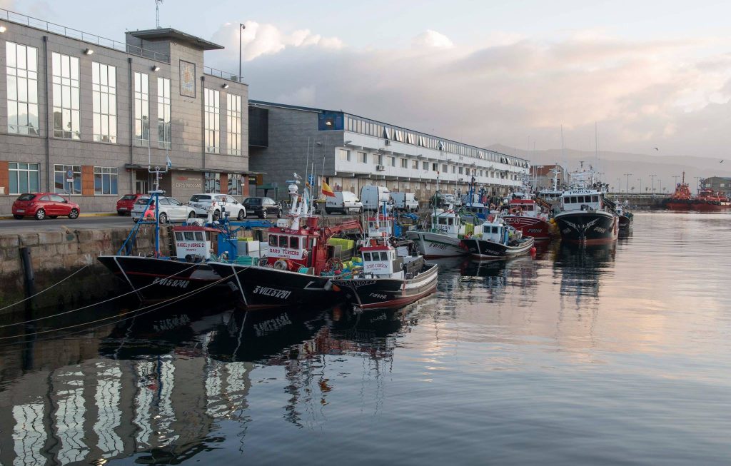 Barcos pesqueros amarrados junto a la lonja del Puerto de Vigo